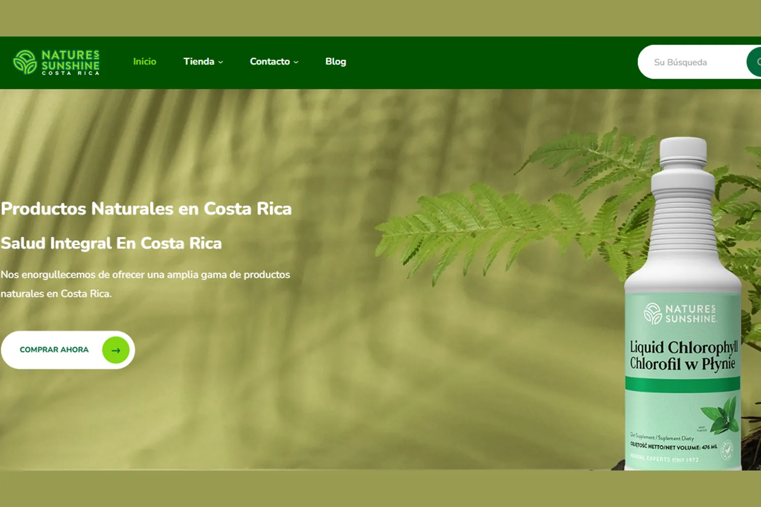 Diseño de Páginas Web para la Venta de Productos Naturales