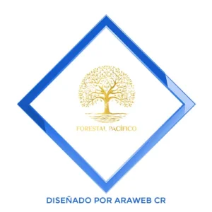 Diseño de logos en Costa Rica